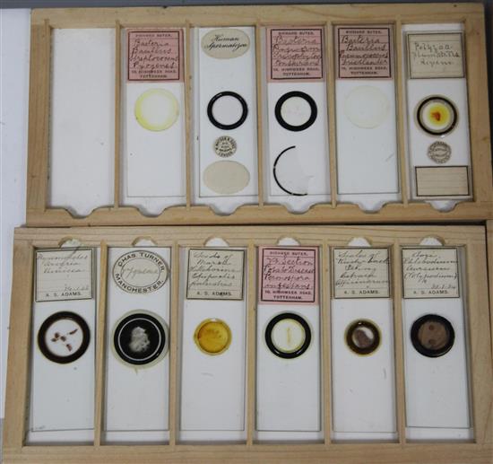 Two cases of late 19th/early 20th century microscope slides,